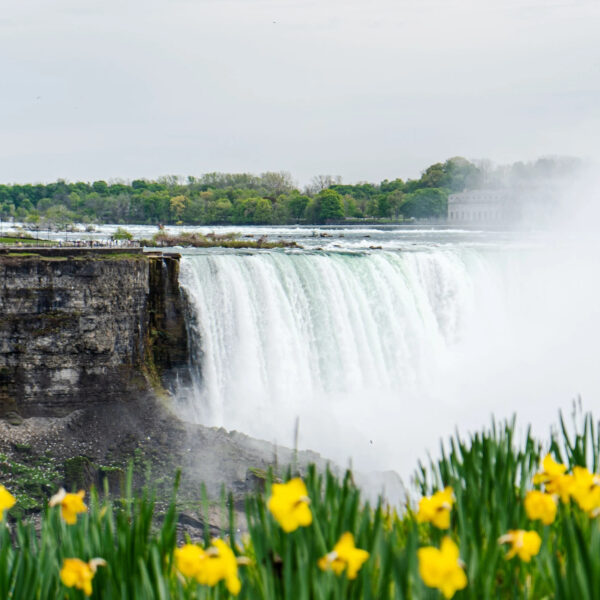 Niagara Falls in spring, flowers, American falls